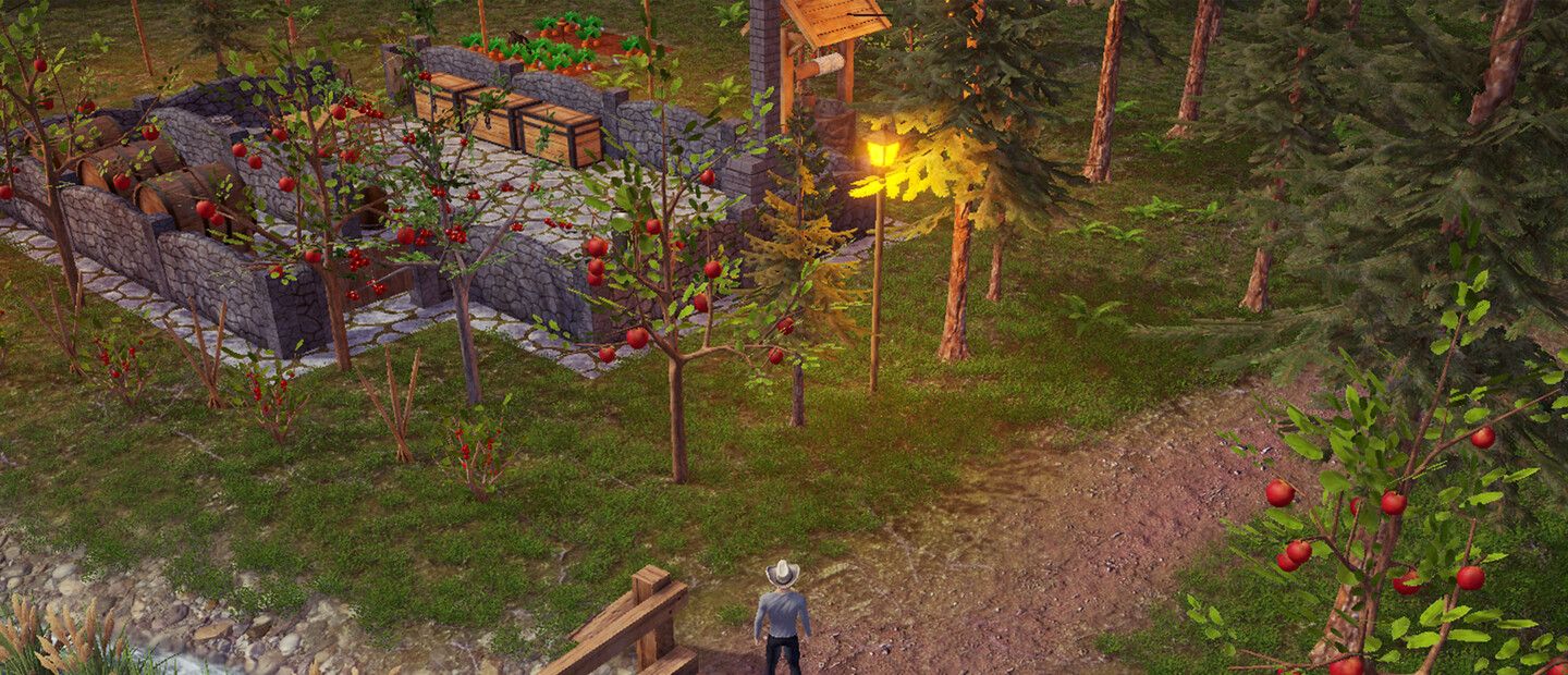 Backwoods Town
