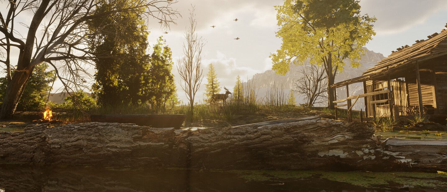 Forest Doesn’t Care