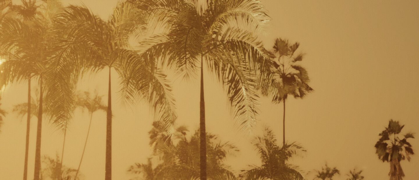 Miami Hotel Simulator