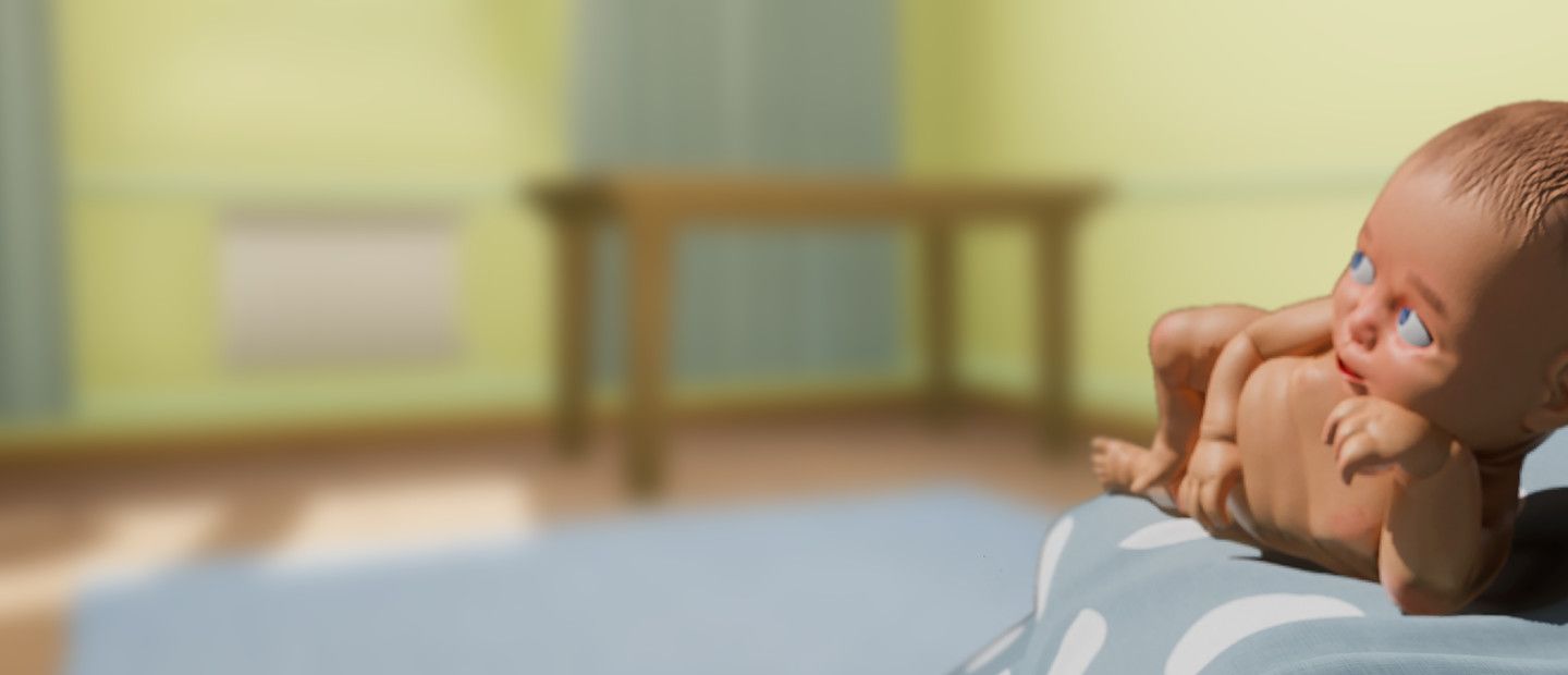 Mother Simulator