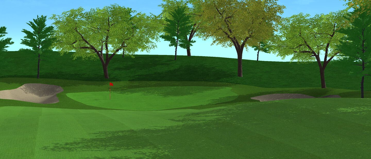 Normal Golf Game