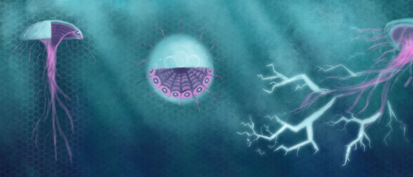 Primordialis
