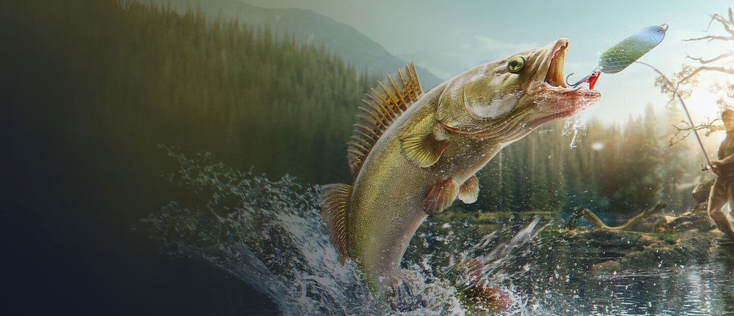 Professional Fishing 2