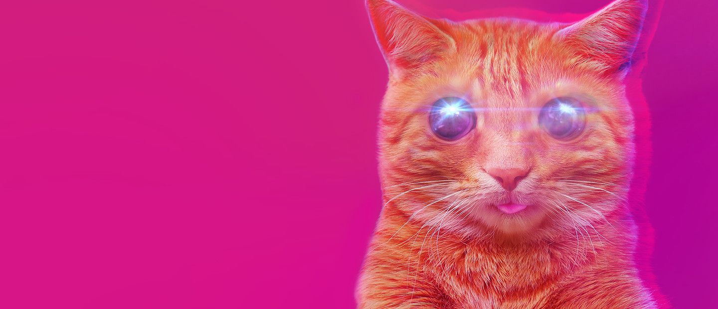 PUSS!