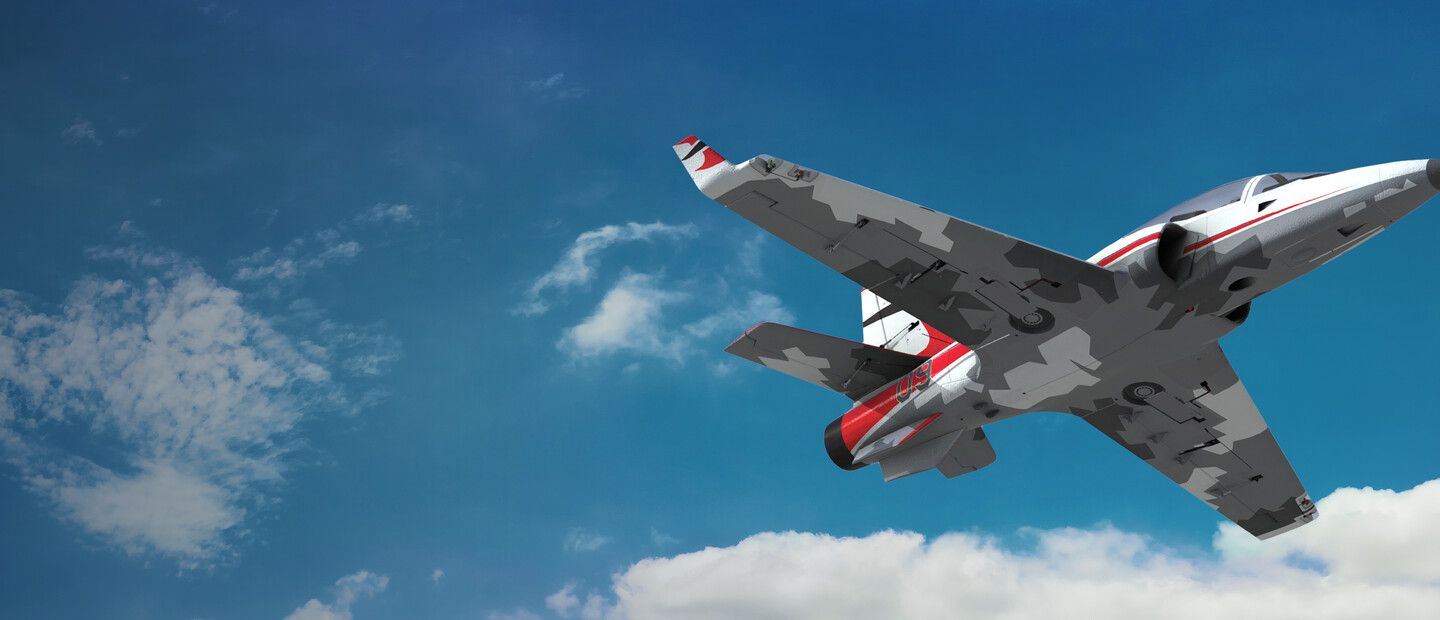RealFlight Evolution