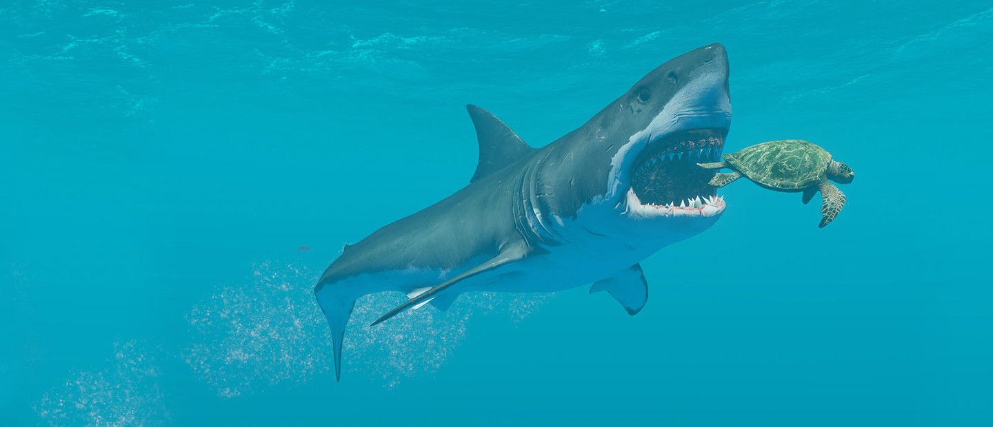Stranded Deep