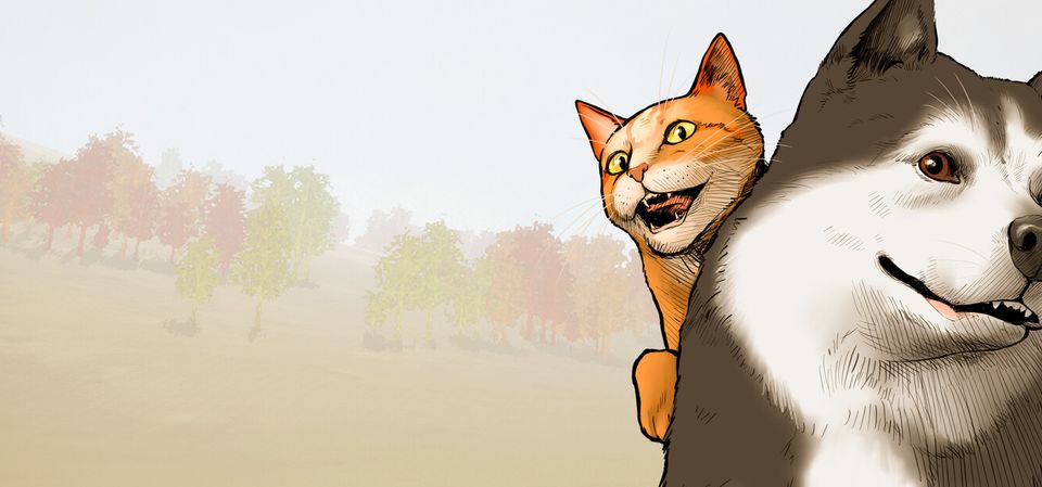 Animal Shelter 2