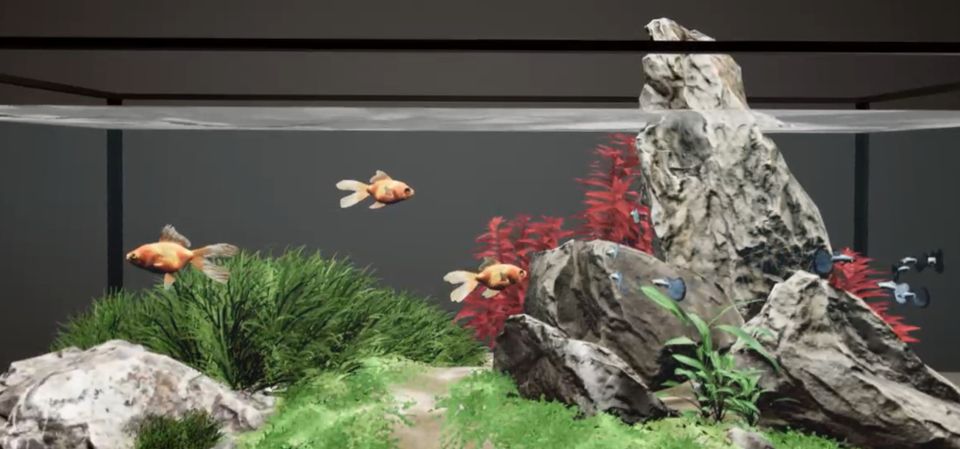 Aquarium Designer