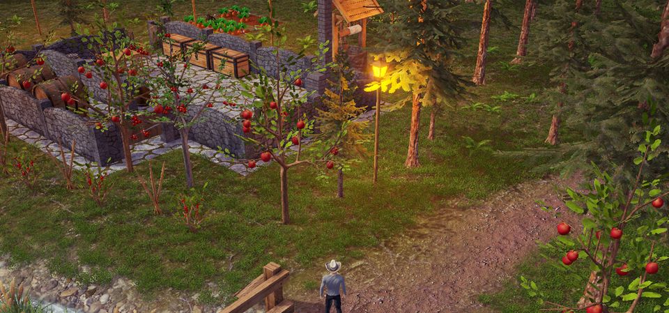 Backwoods Town