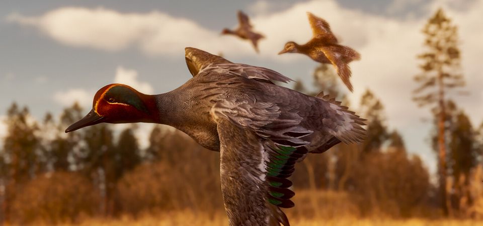 BULT: Hunting simulator