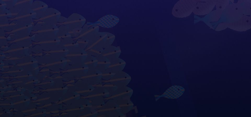 Fish Lab