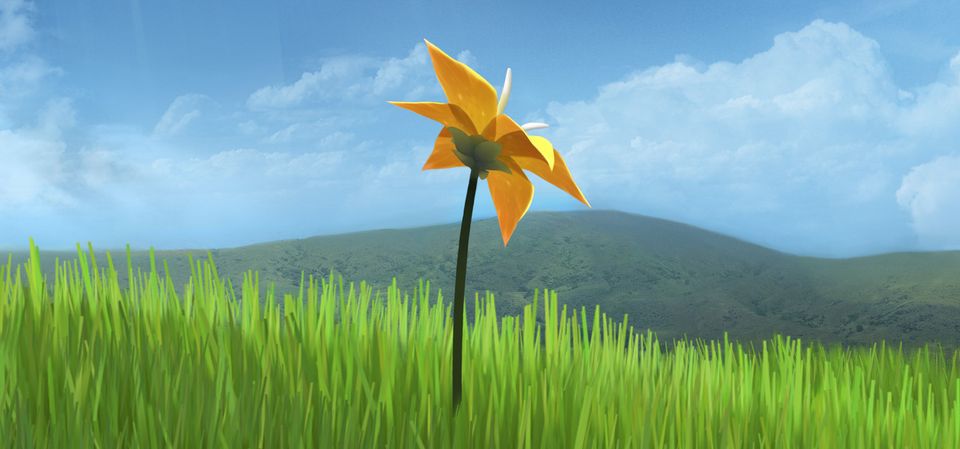 Flower