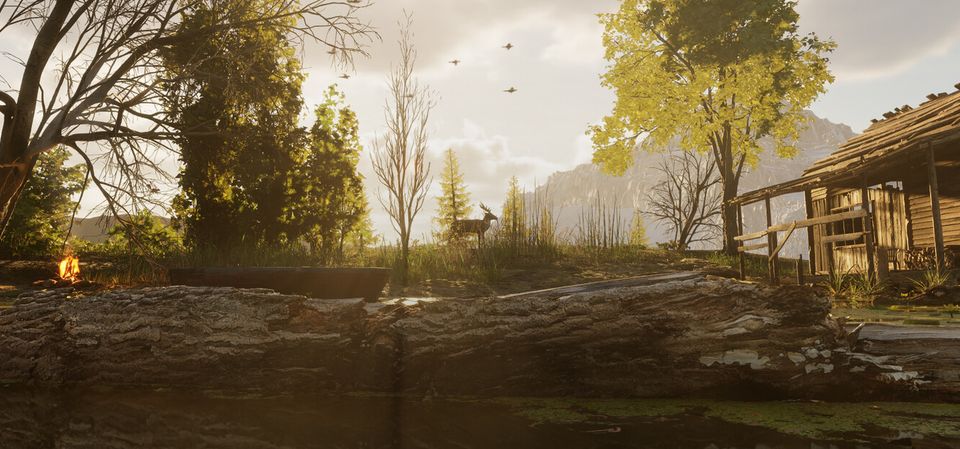 Forest Doesn’t Care
