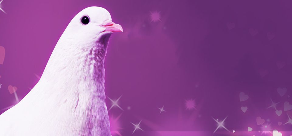Hatoful Boyfriend