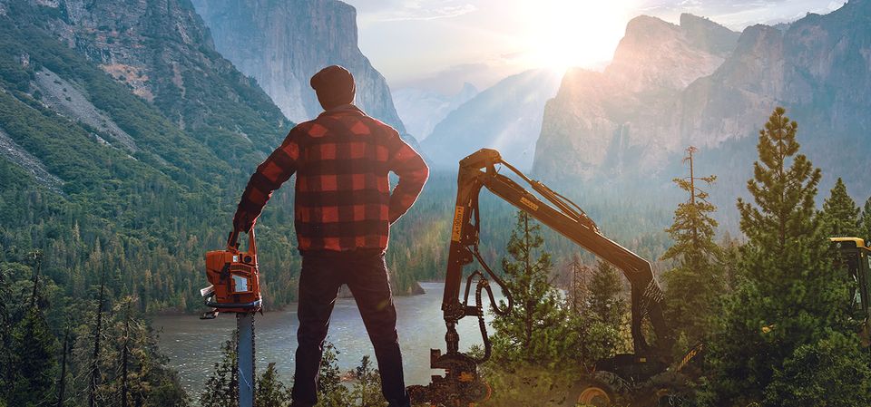 Lumberjack's Dynasty