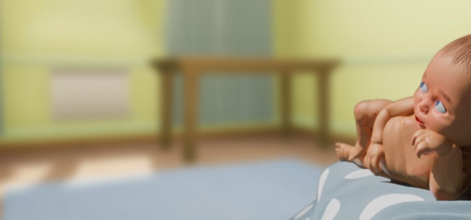 Mother Simulator