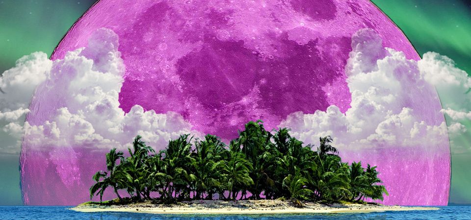 Paradise Killer