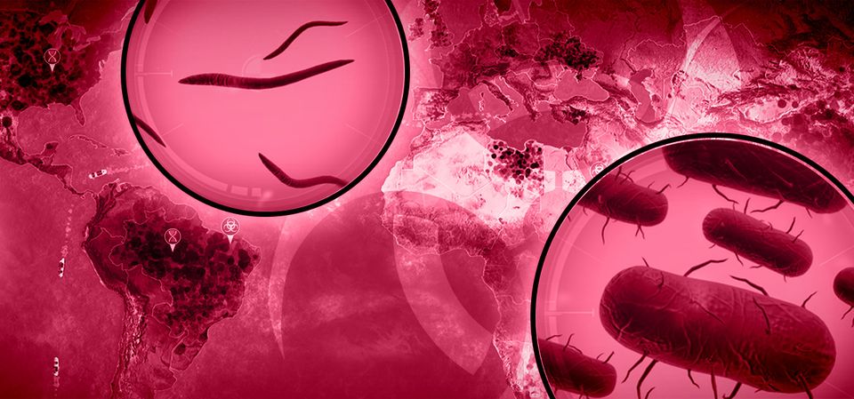 Plague Inc: Evolved