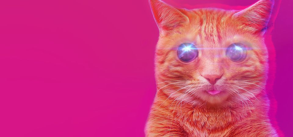 PUSS!