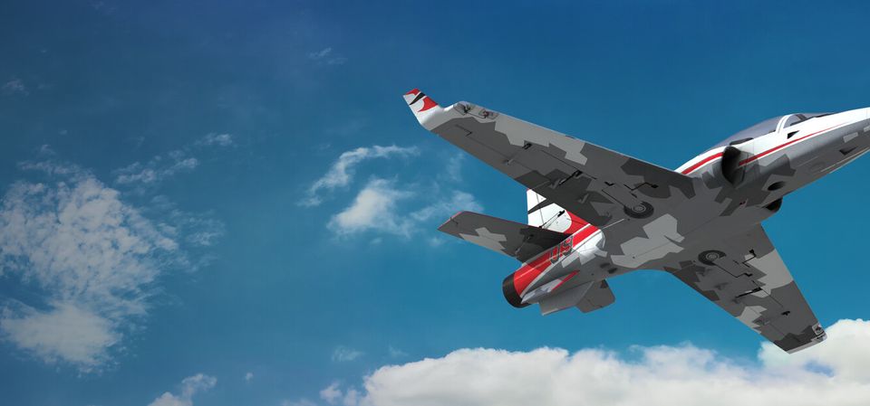 RealFlight Evolution