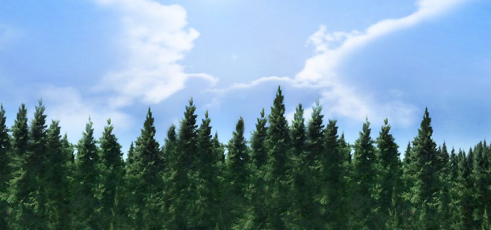 Rising World