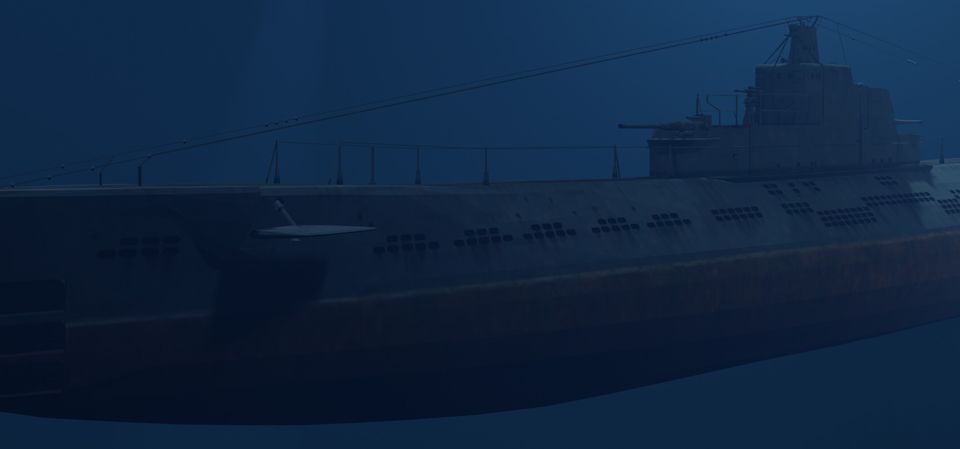 Silent Shark
