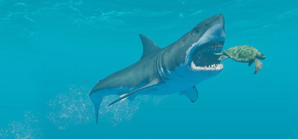 Stranded Deep