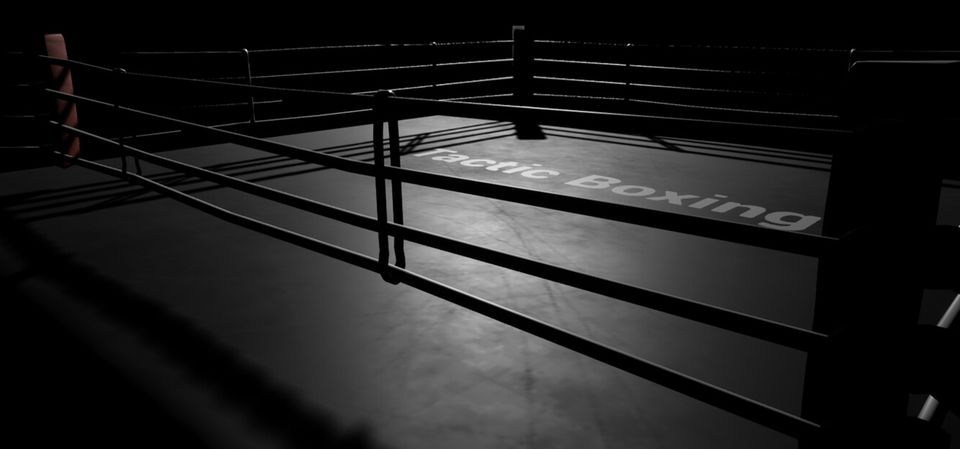 Tactic Boxing