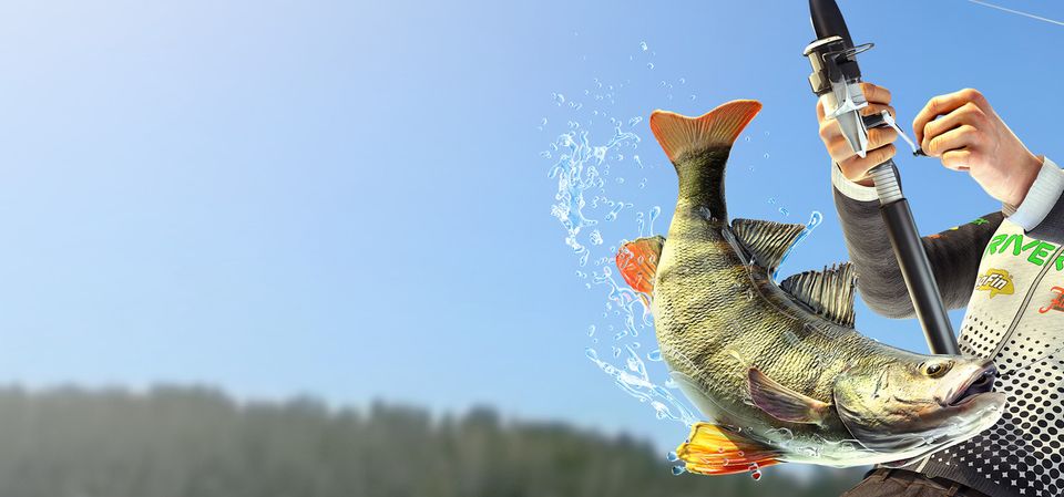 The Fisherman - Fishing Planet