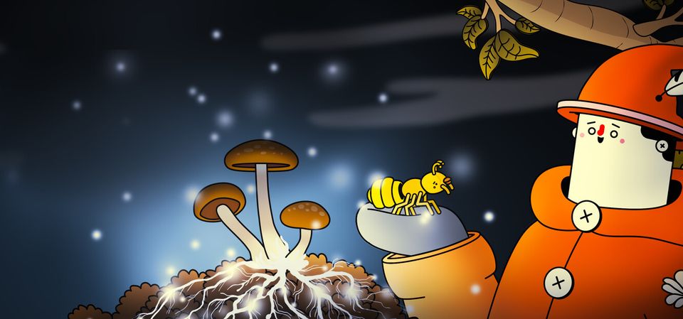 The Guardian of Nature