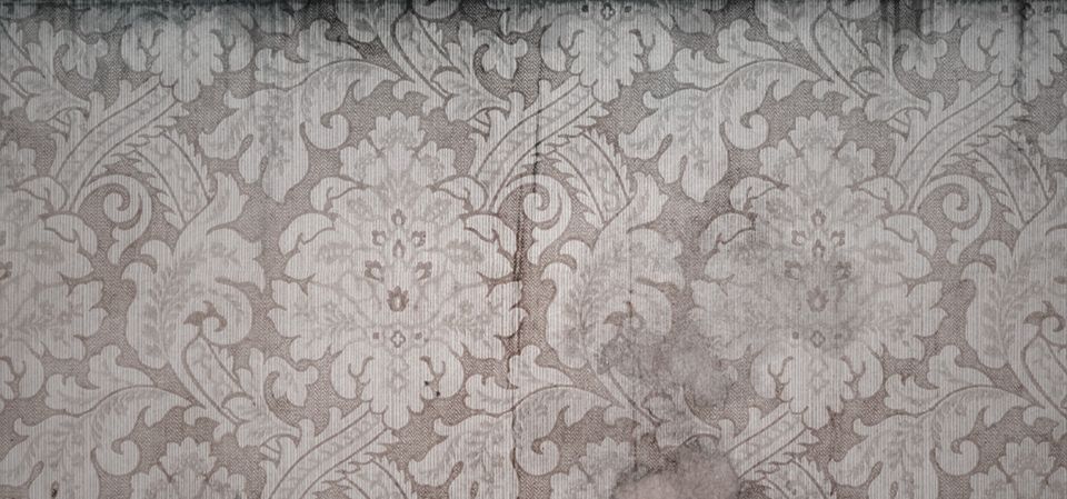 The Guest