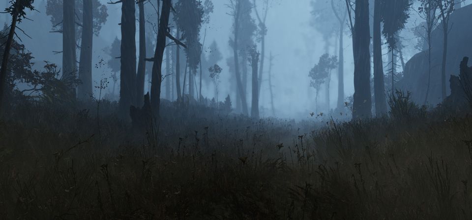 The Land of Pain