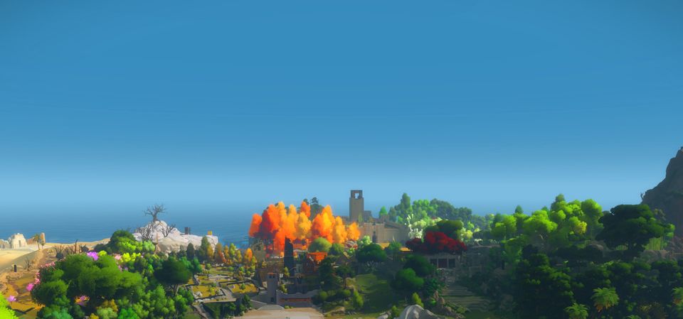 The Witness