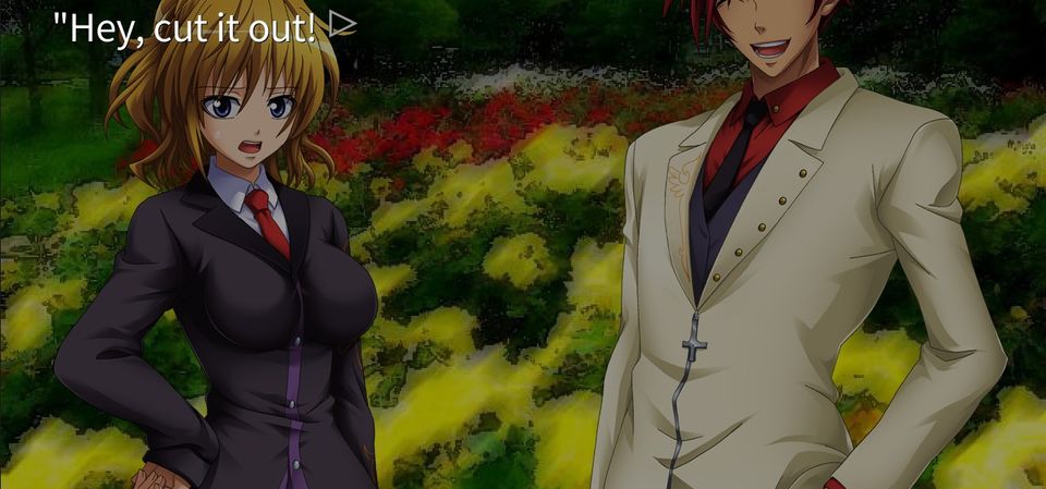 Umineko When They Cry - Question Arcs