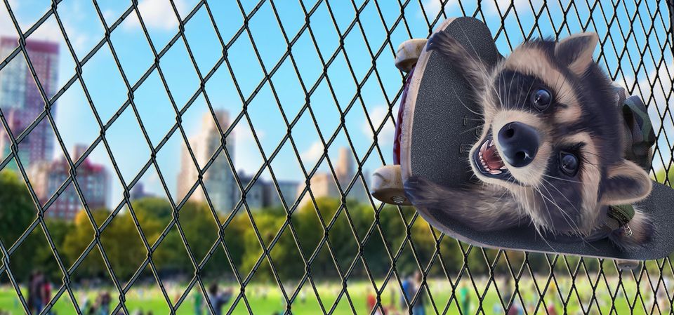Wanted Raccoon