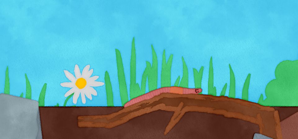 Wirm