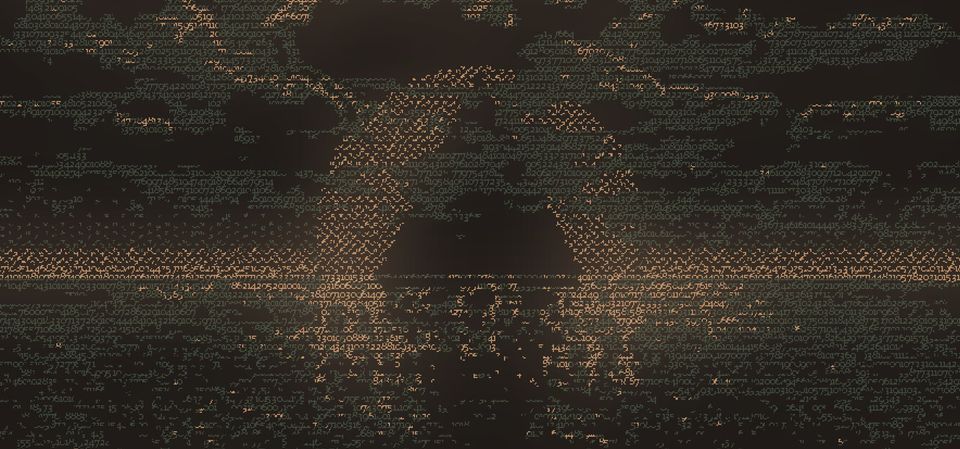 Without a Dawn