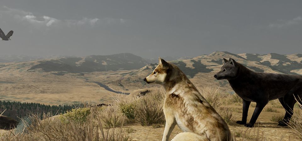 WolfQuest: Anniversary Edition