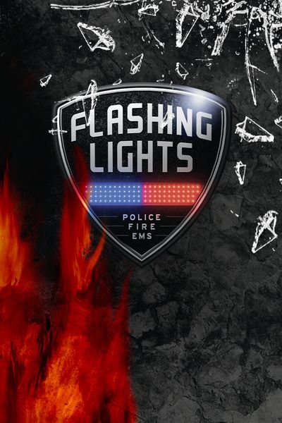 Flashing Lights - Полиция,Пожарные,Симулятор экстренных служб